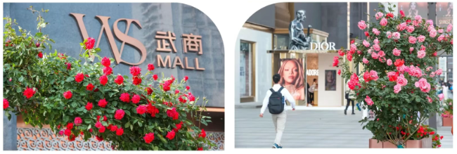 首页|南宫NG28集团相信品牌实力官网