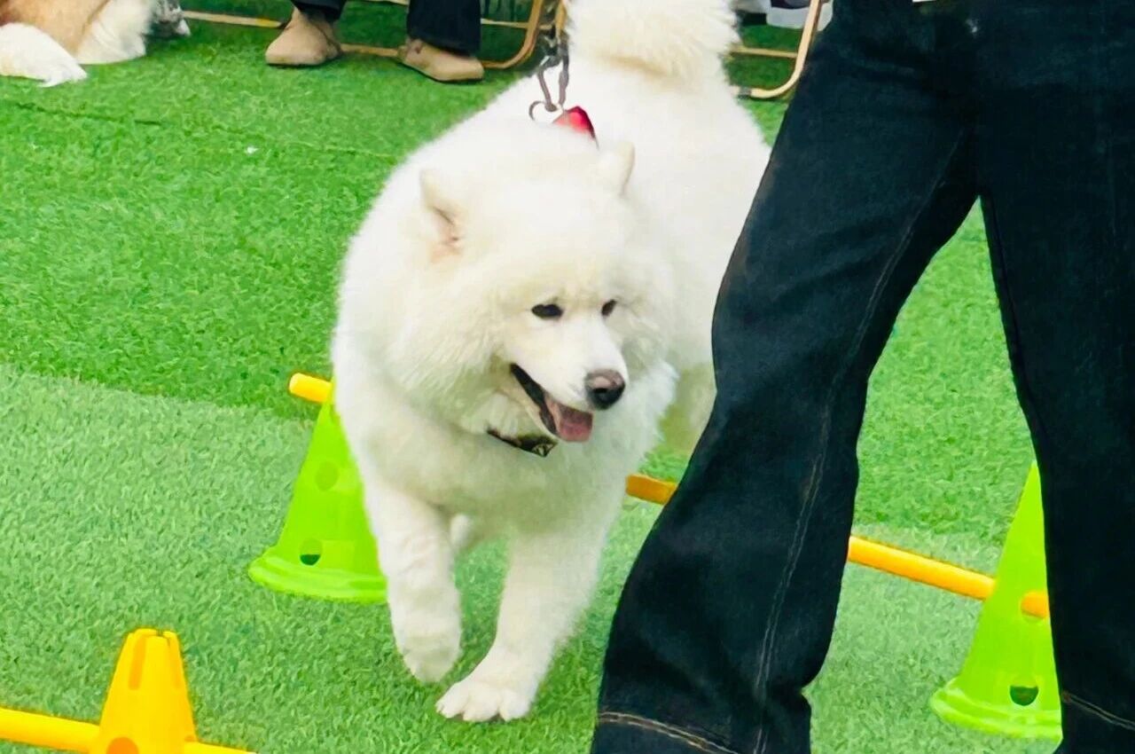 首页|南宫NG28集团相信品牌实力官网