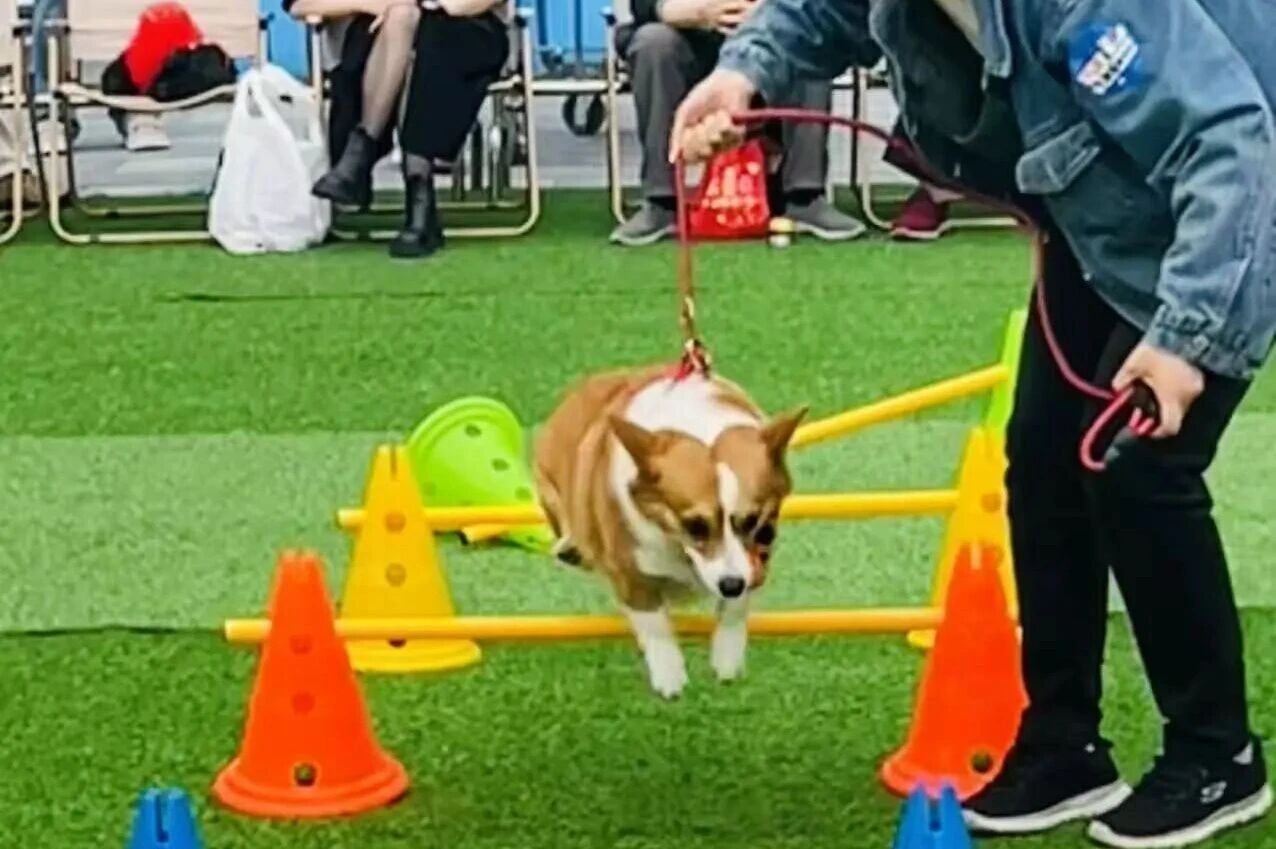 首页|南宫NG28集团相信品牌实力官网